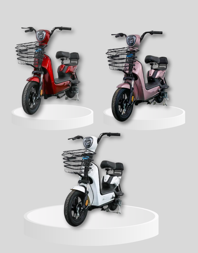 Bicicleta Eléctrica Rami R1