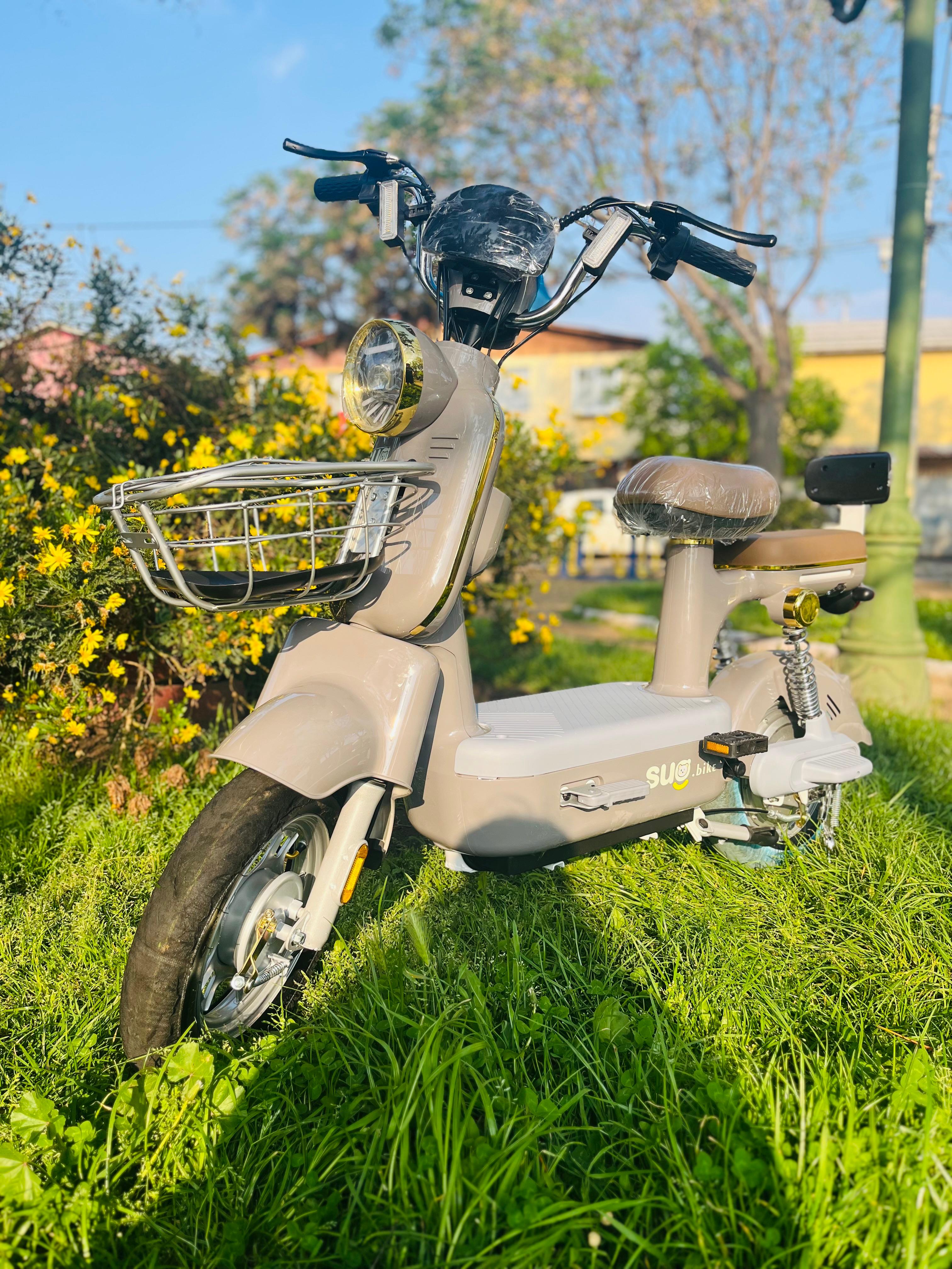 Bicicleta Electrica Rami "Gama Alta" 0KM