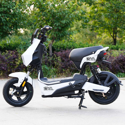 Bicicleta Electrica Rami R3