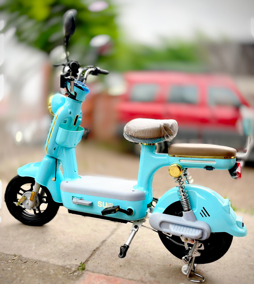 Bicicleta Electrica Rami "Gama Alta" 0KM