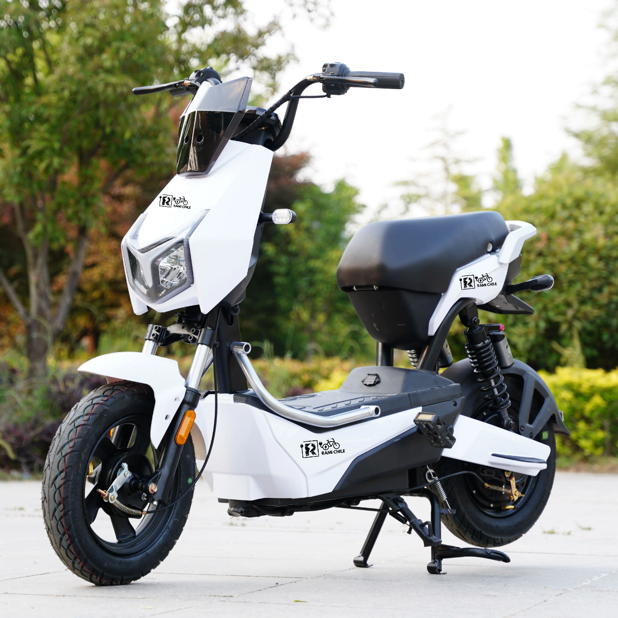 Bicicleta Electrica Rami R3